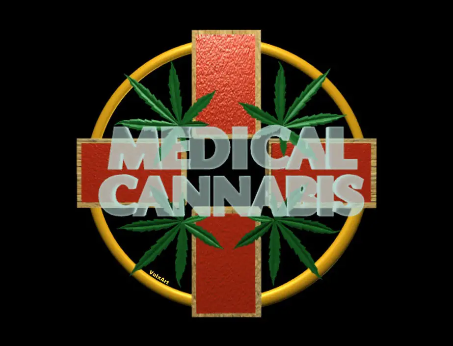 US Feds Say Cannabis is Not Medicine While Holding the Patent on Cannabis as Medicine - art by Valxart