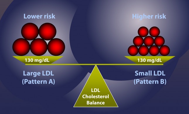 Why Cholesterol Doesn’t Cause Heart Disease - LDL Cholesterol Balance