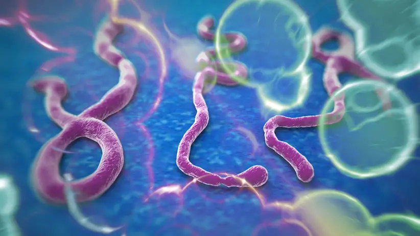 Ebola Virus - Natural Treatment Options the Mainstream Media Ignores
