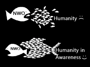 Humanity in Awareness - Where Are We Now