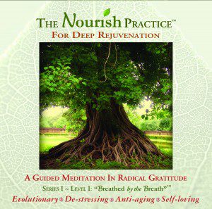 The Nourish Practice for Deep Rejuvenation