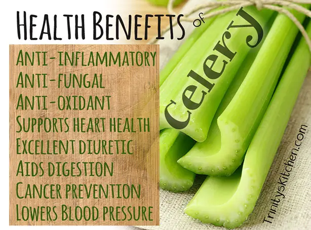 The Superfood Health Benefits of Celery (with Recipes!)
