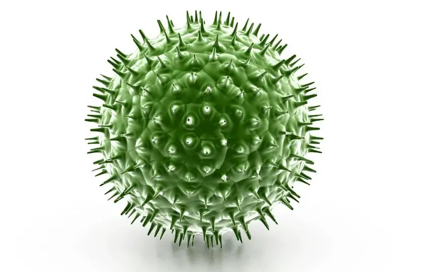 Why We May Need Viruses More Than Vaccines -Main