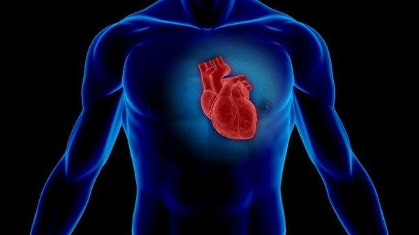 Cardiovascular Disease Linked to High Homocysteine Levels - Copy
