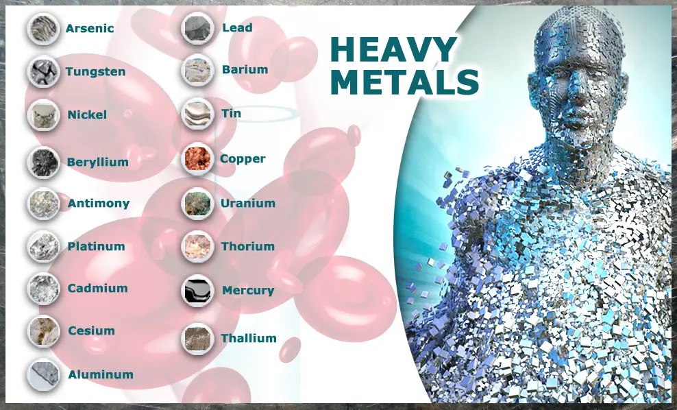 How Heavy Metal Toxicity Can Ruin Your Health