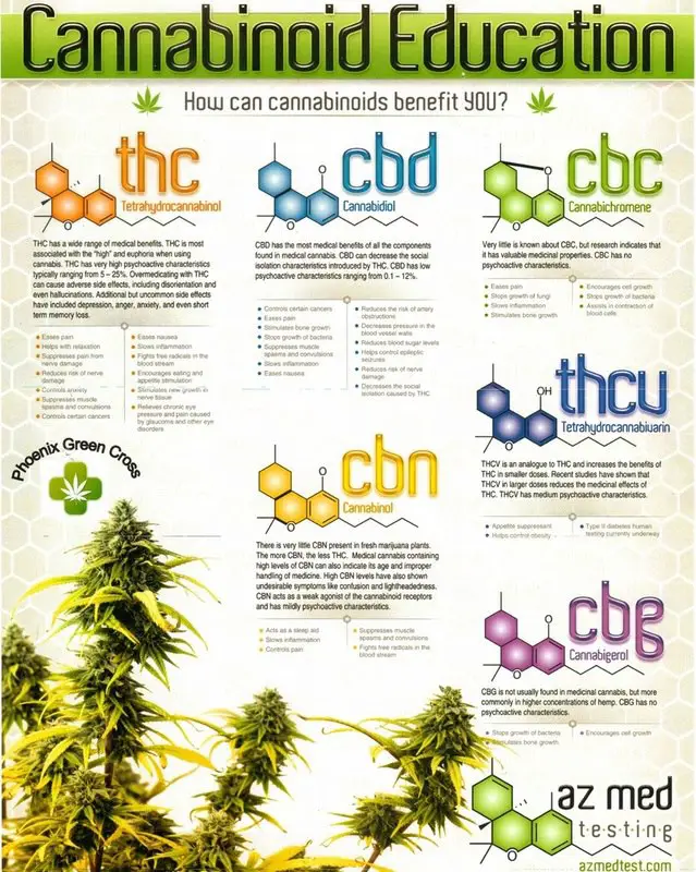 Understanding Cannabis Oil - Cannabinoid Education
