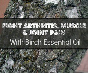 Birch Essential Oil for Arthritis, Muscle and Joint Pain