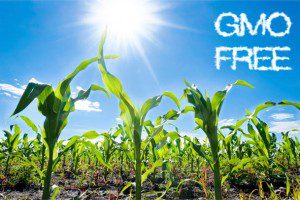 GMO-free-medium