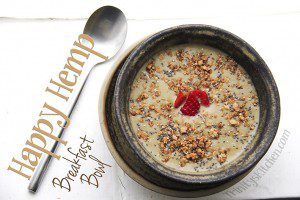 Hemp-protein-breakfast-bowl