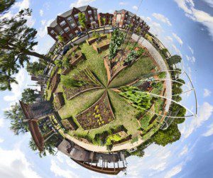 Permaculture - What is it and Why is it Important (2)