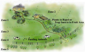 Permaculture - What is it and Why is it Important - Zones