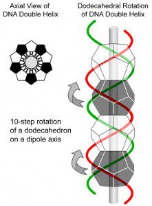 The Inevitability of Peaceful Revolution - Double Helix