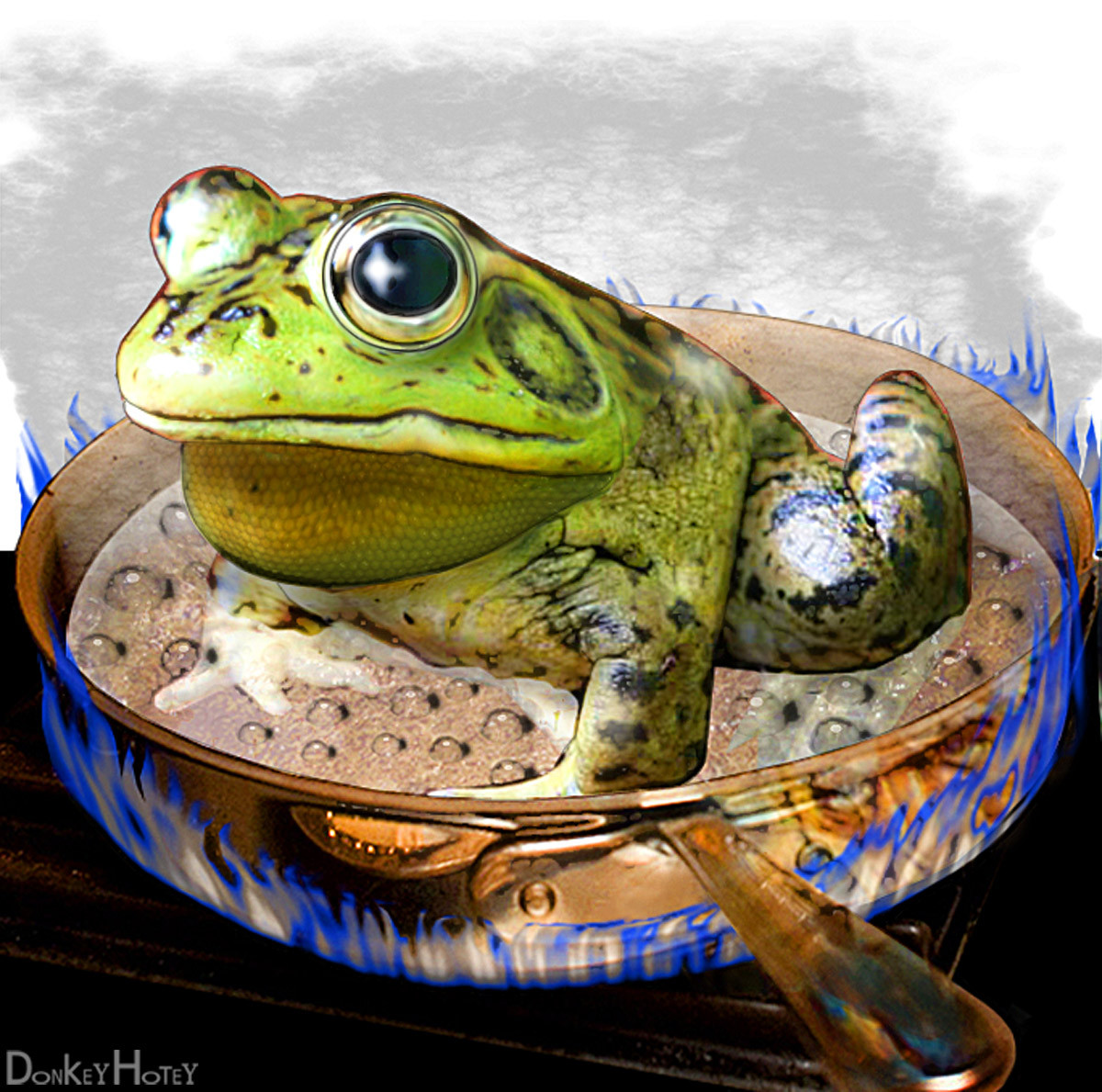 boiling frog Wake Up World
