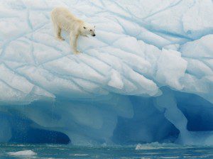 Arctic Urgency - A Global Call to Action
