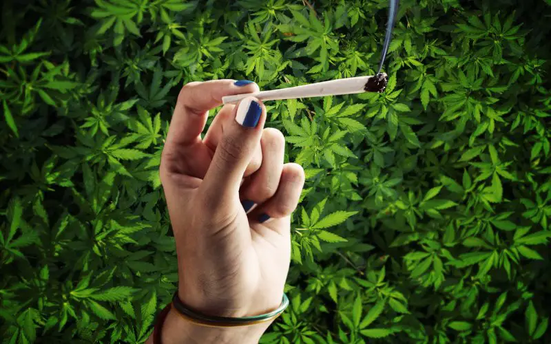 Marijuana On Legal Roll Worldwide – But Still Singing Reefer Blues