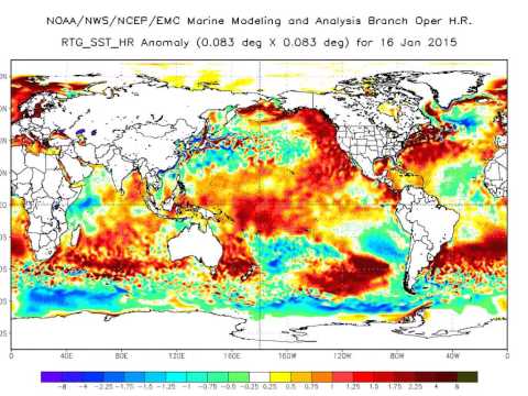The Climate Engineers Can No Longer Suppress El Niño - Sea Surface Temperature Anomalies