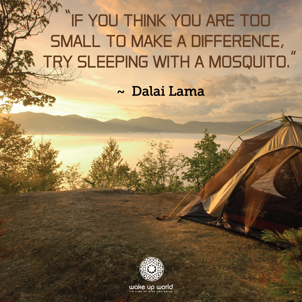If you think you are too small to make a difference, try sleeping with