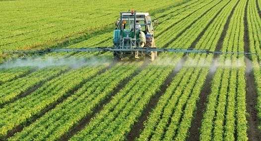 Roundup Ready, Bt-Toxin and GMOs - A Dangerous Trinity That Encourages Gluten Intolerance and Celiac Disease 2