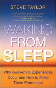 Steve Taylor Ph.D - Waking From Sleep