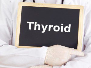 4 Things You Can Do To Support Thyroid Health - Thyroid Doc