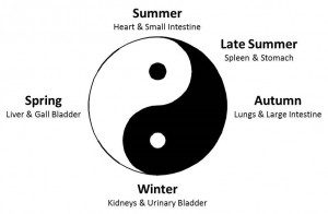 Yin Yang - Deep Personal Wisdom for Personal and Planetary Transformation - Seasons 2