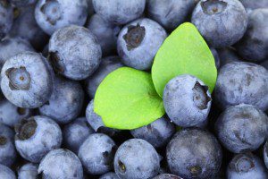 Antioxidants Blueberries