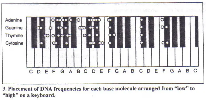 432 DNA Tuning, Frequency, and the Bastardization of Music - DNA Frequency Keyboard