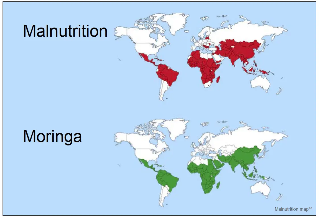 Amazing Moringa - Medicinal, Edible and Easy to Grow - Malnutrition and Growth Areas Map