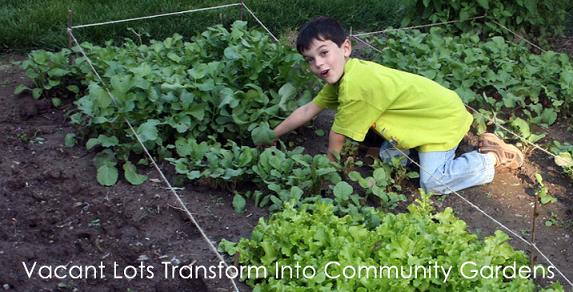 How To Turn Dirt Into Gold - communitygardens