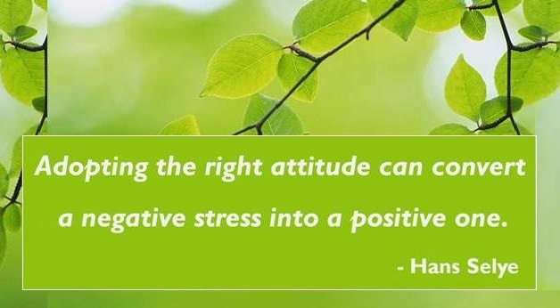 The Hidden Truth About Stress — What You Aren’t Being Told | Wake Up World