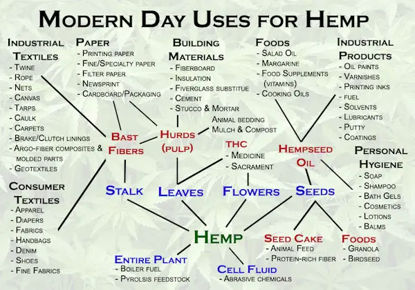 Hemp Could Free Us From Oil Prevent Deforestation Cure Cancer - Uses