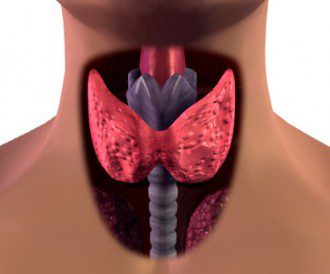 The 5 Most Common Thyroid Disorders and What You Need To Know