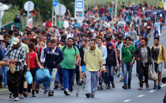 The Carefully Calculated Mass Migration Agenda 4