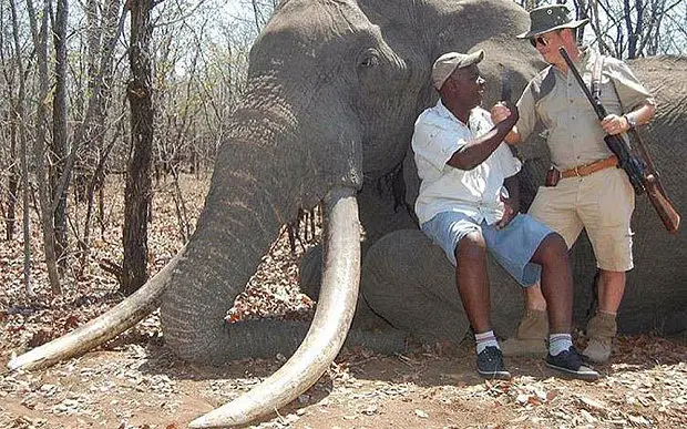 The Plight Of The Pink Elephant - German Trophy Hunter Celebrates his Kill
