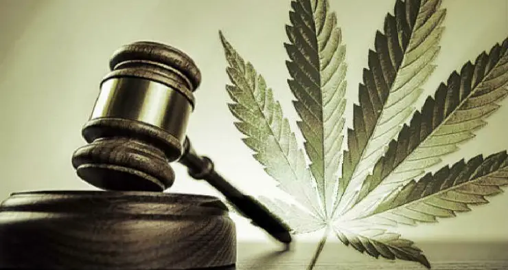 Mexico Rules Consumption and Cultivation of Cannabis Is A Fundamental Human Right