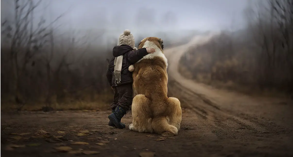 Study Shows Exposure to Animals in Early Childhood Supports Immune Development - Photograph by Elena Shumilova