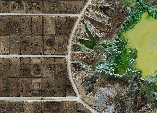 Sustainable Development is a Lie - Aerial photographs of industrial beef farming feedlots