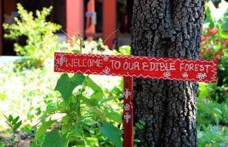 Urban Edible Forests - The Future of Food is Here - Seattle, Welcome