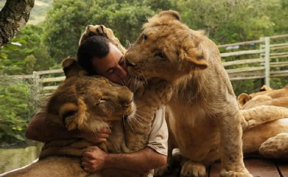 Animal Communicators Prove It’s Possible to Hear an Animal’s Thoughts - Kevin Richardson, Lion Whisperer