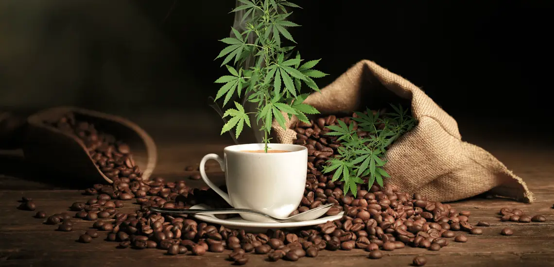 Cannabis-Infused Coffee Growing in Popularity as Consumers Grow Wise to Health Benefits