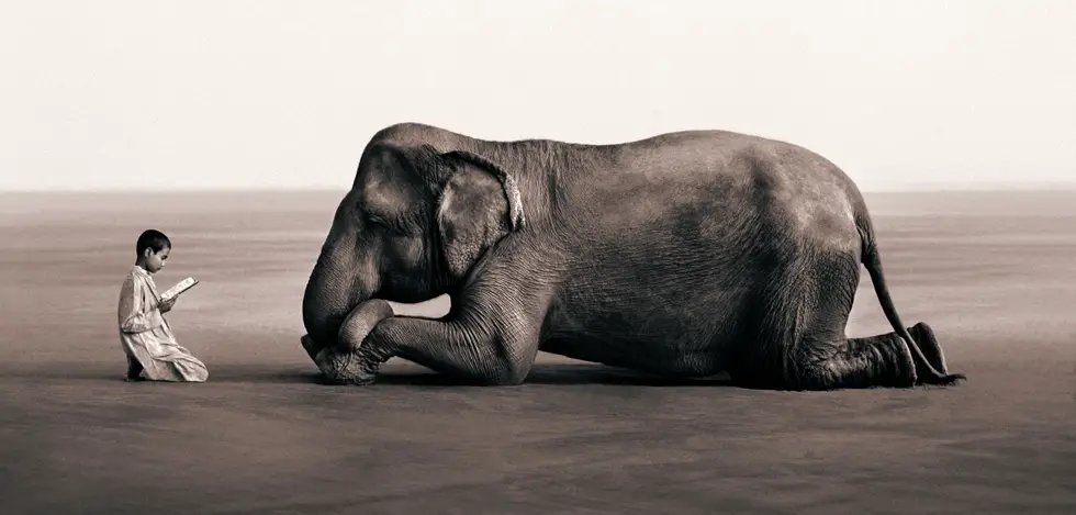Conscious Connection - Bridging Species Through Love (Image - from ''Ashes and Snow'' by Gregory Colbert)