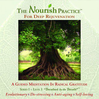 Jack Adam Weber - The Nourish Practice