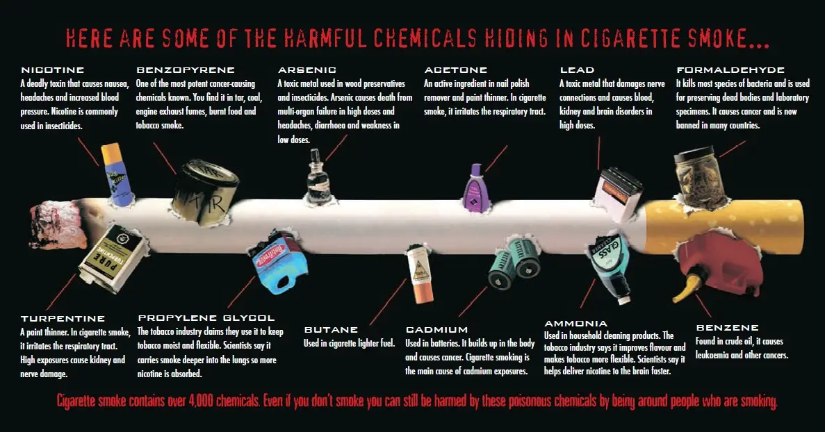 What Happens When You Quit Smoking - Plus Simple Tips to Help You Succeed - Chemicals in Cigarettes