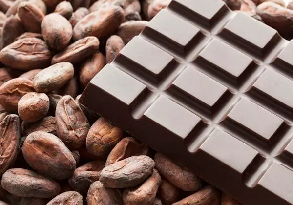 Amazing Health Benefits Dark Chocolate