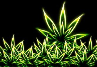 Can Cannabis Enhance Our Spirituality - fb