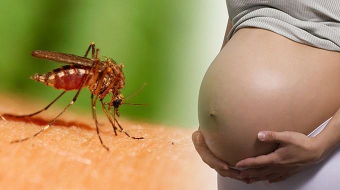Zika Virus - Latest Actor in the Fake Pandemic Play