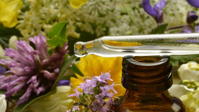 Healing Ourselves (and the World) with Flower Essences 2