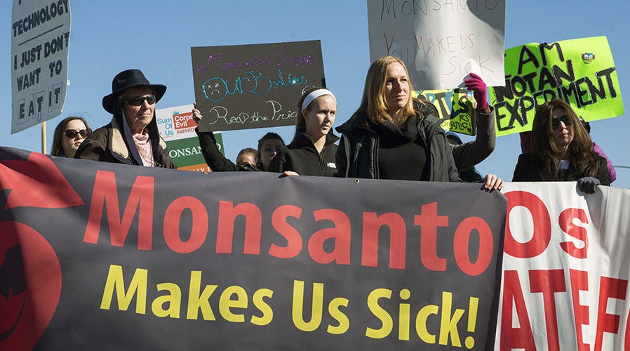 Last-Minute Provision in Chemical Reform Bill Could Grant Monsanto Immunity From Legal Claims - fb1