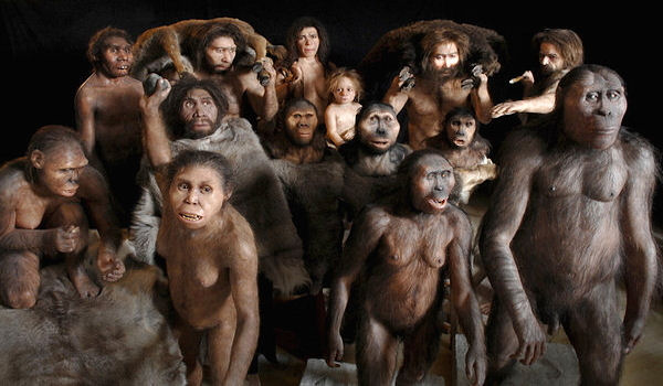 Nakedness Could Decode Mystery of Human Origins - FB1