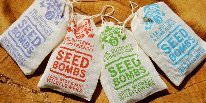 Seed Bombs - A Creative (and Fun) Mission to Save the Bees and Butterflies